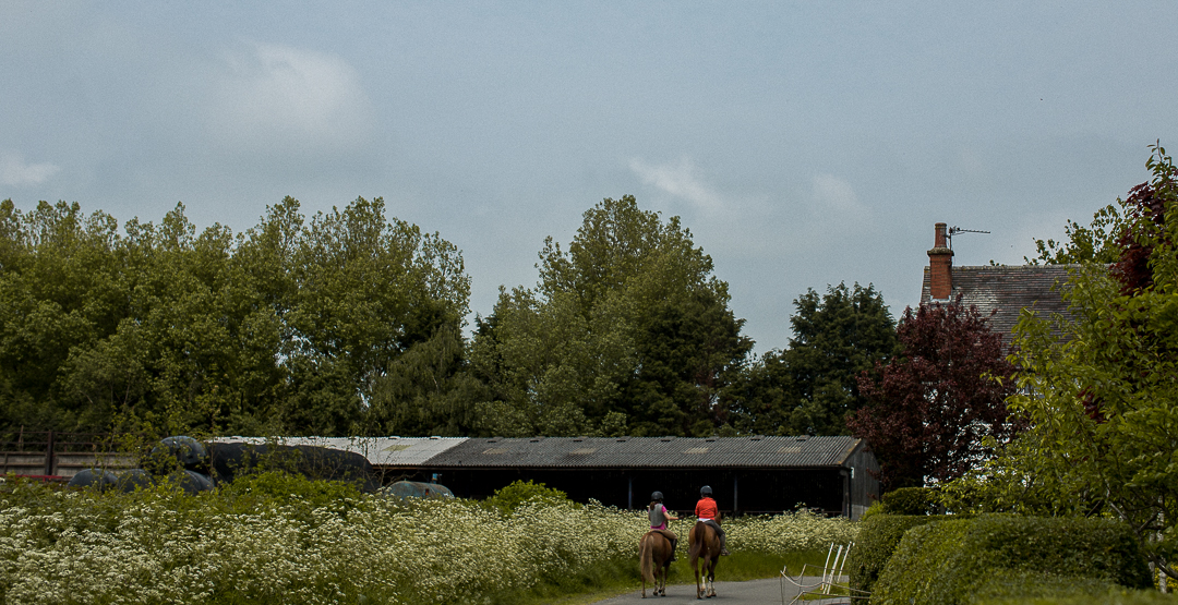 modern wedding photographer-1